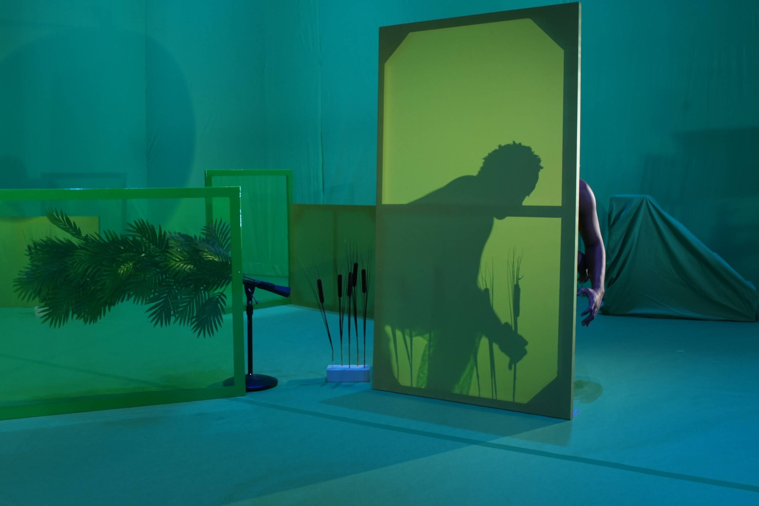 A performer in [siccer] crouches behind a screen, their shadow projected against it.