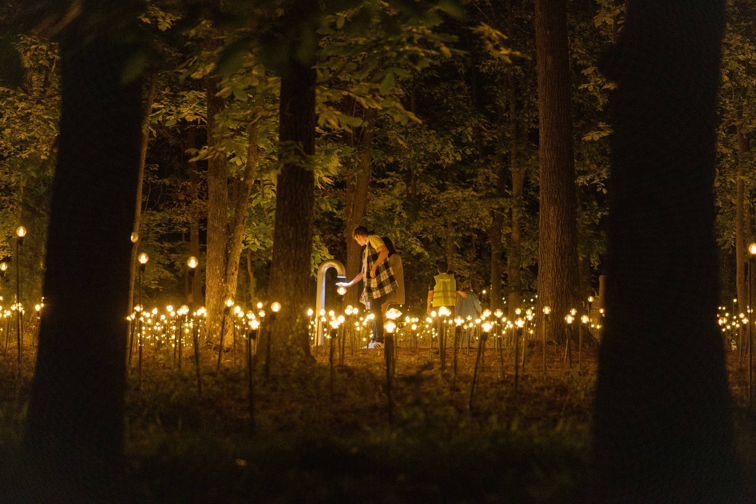 A man puts his hand under a cane-shaped kiosk surrounded by a field of lights in the middle of the forest at night