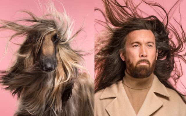 Dog and man with flowing long hair against pink background, side by side.