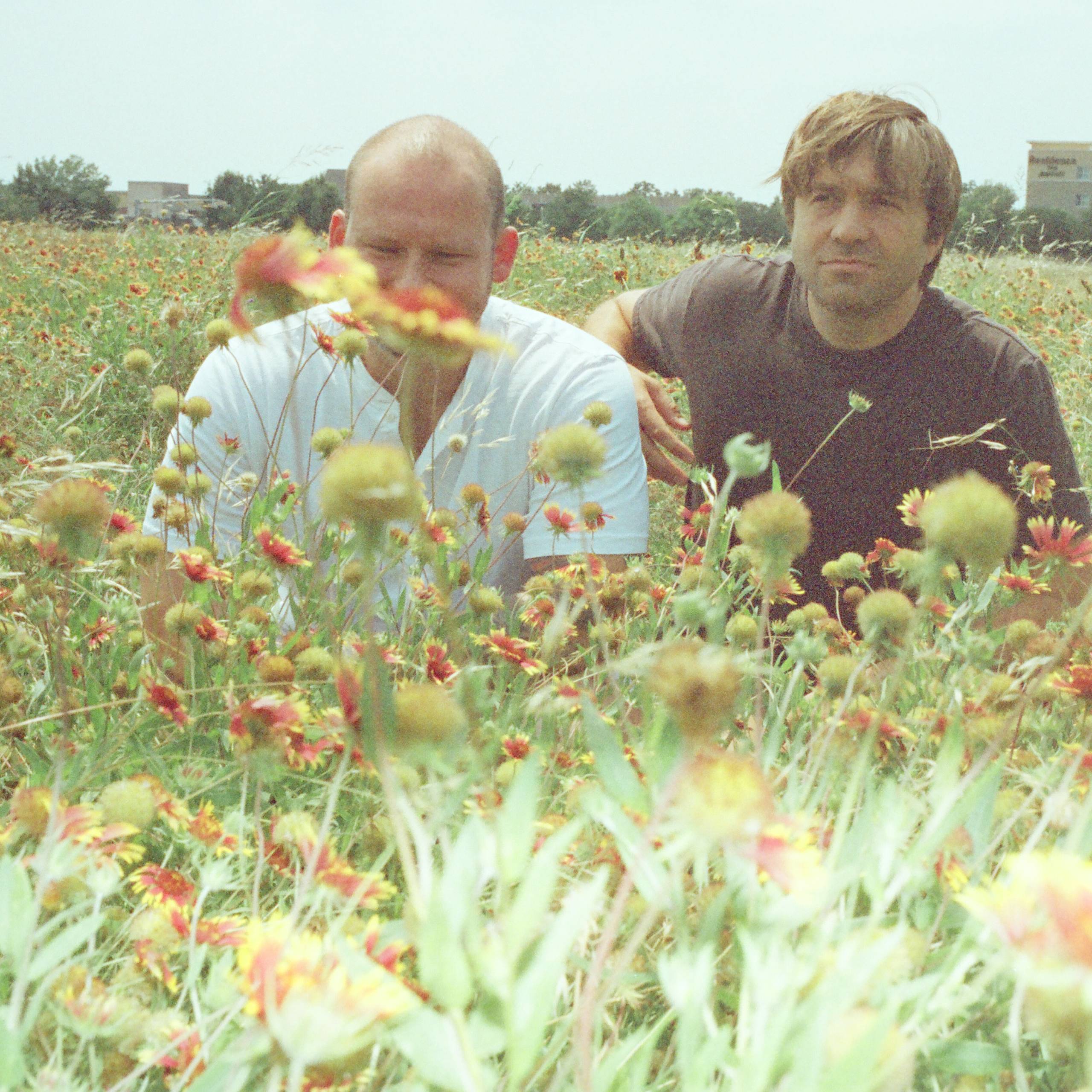 Two people sitting in a wildflower field, with greenery and distant buildings in the background.