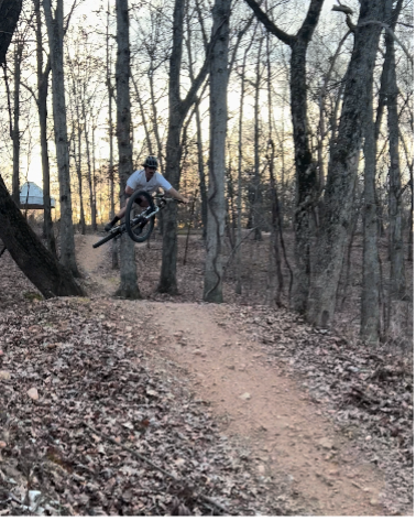 Mountain biker jumping mid-air on a wooded dirt trail at sunset.