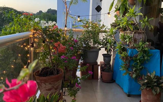 Balcony garden with potted plants and string lights, set in a serene outdoor space.