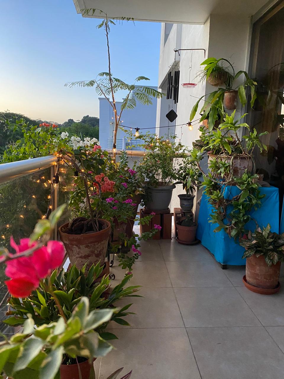 MoPros Balcony garden with potted plants and string lights, set in a serene outdoor space.